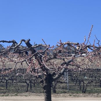 Vin du Lac Winery & Bistro - New American Near Me - Chelan, Washington