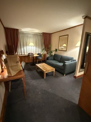 Sofitel Lyon Bellecour by null