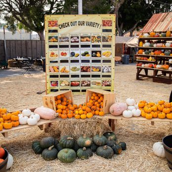 Shawn's Pumpkin Patch - Amazing selection of pumpkins and gourds! - Pumpkin Patches Near Me - Culver City , California