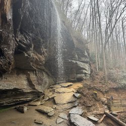 Moore Cove Falls - Falls