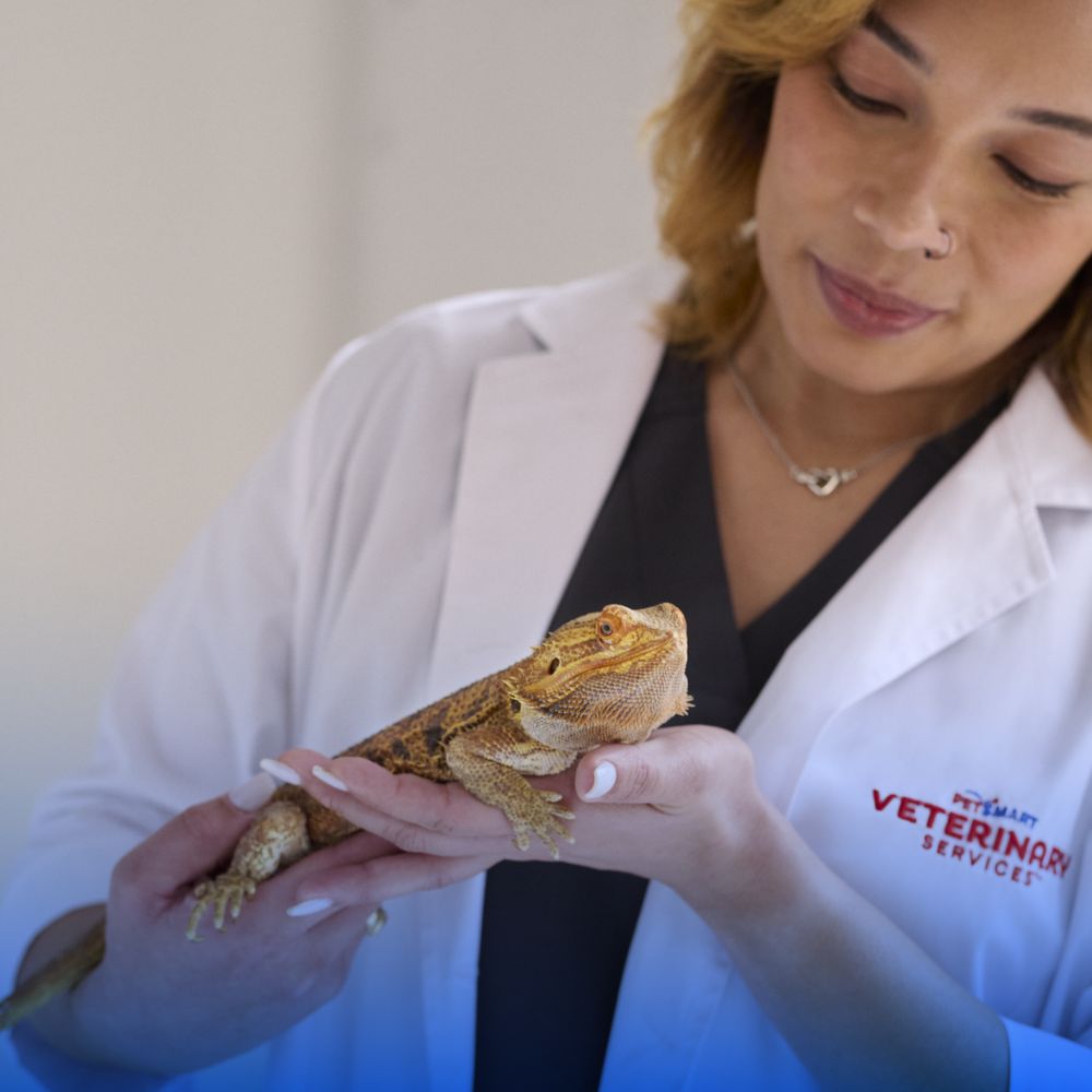 PetSmart Veterinary Services Image