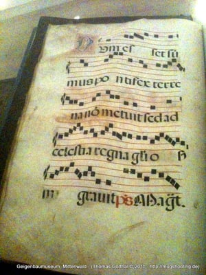 Geigenbaumuseum by null