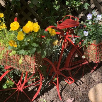 Sunflower Caffe - Coffee & Tea Near Me - Sonoma, California Sunflower Caffe - Coffee & Tea Near Me - Sonoma, California