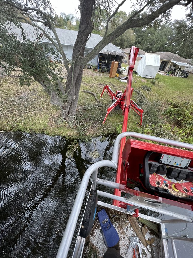 Andrew's Tree Care - tree service in Clearwater, FL