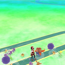 So many Pokémons here!!! So many Pokémons here!!!