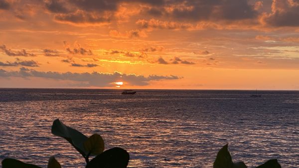 Royal Kona Resort by null