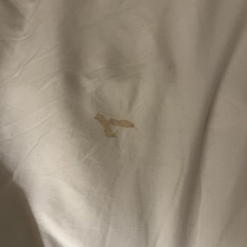 Lighthouse Lodge & Cottages - stain on bed - Hotels Near Me - Pacific Grove, California
