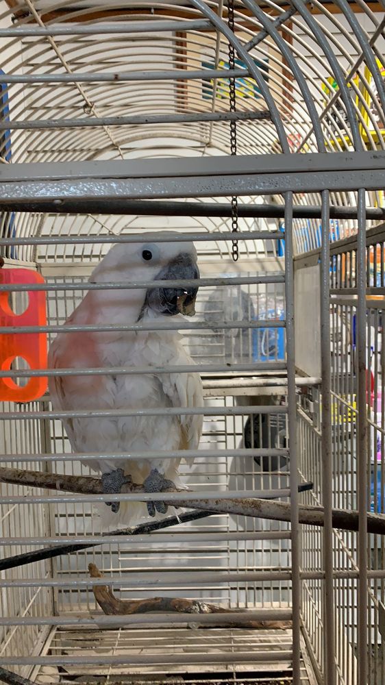 PACIFIC CAR WASH 178 Photos & 223 Reviews 41080 Trimboli Way, Fremont, CA Yelp