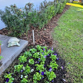 Eden Landscaping - New bed of pansies and revitalized hedge. - Landscaping Near Me Eden Landscaping - New bed of pansies and revitalized hedge. - Landscaping Near Me