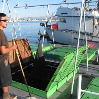 Channel Islands Sportfishing - Fishing Near Me - Oxnard, California Channel Islands Sportfishing - Fishing Near Me - Oxnard, California
