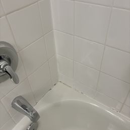 Caulking needed and the tub is gritty from not using soft scrub and using a low biodegradable cleaner. The tiles on the floor have chips