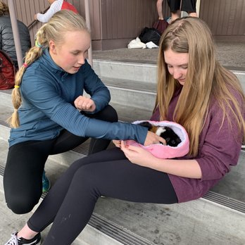 Animal Assisted Happiness - Animals visiting Mountain View High School - Community Service/Non-Profit Near Me - Sunnyvale, California Animal Assisted Happiness - Animals visiting Mountain View High School - Community Service/Non-Profit Near Me - Sunnyvale, California
