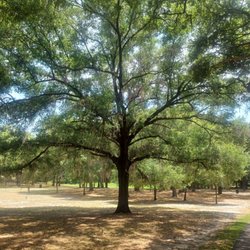Snooky Park