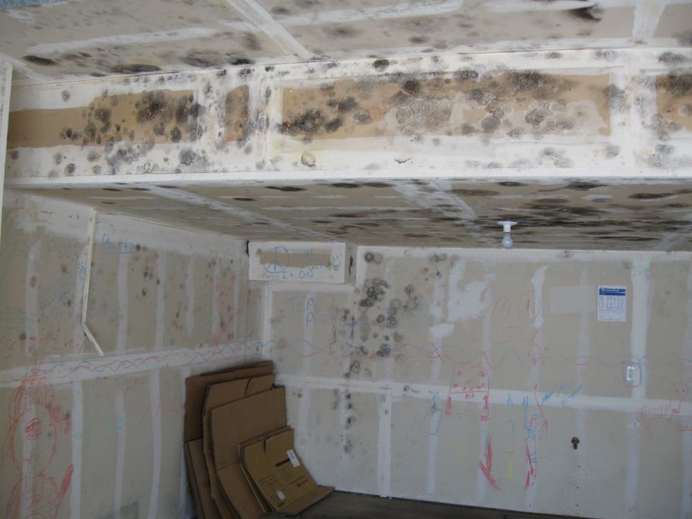 PureRepel Solutions - mold inspector in Birmingham, AL