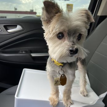 Animal Care Center - Veterinarians Near Me - Springfield, Missouri Animal Care Center - Veterinarians Near Me - Springfield, Missouri