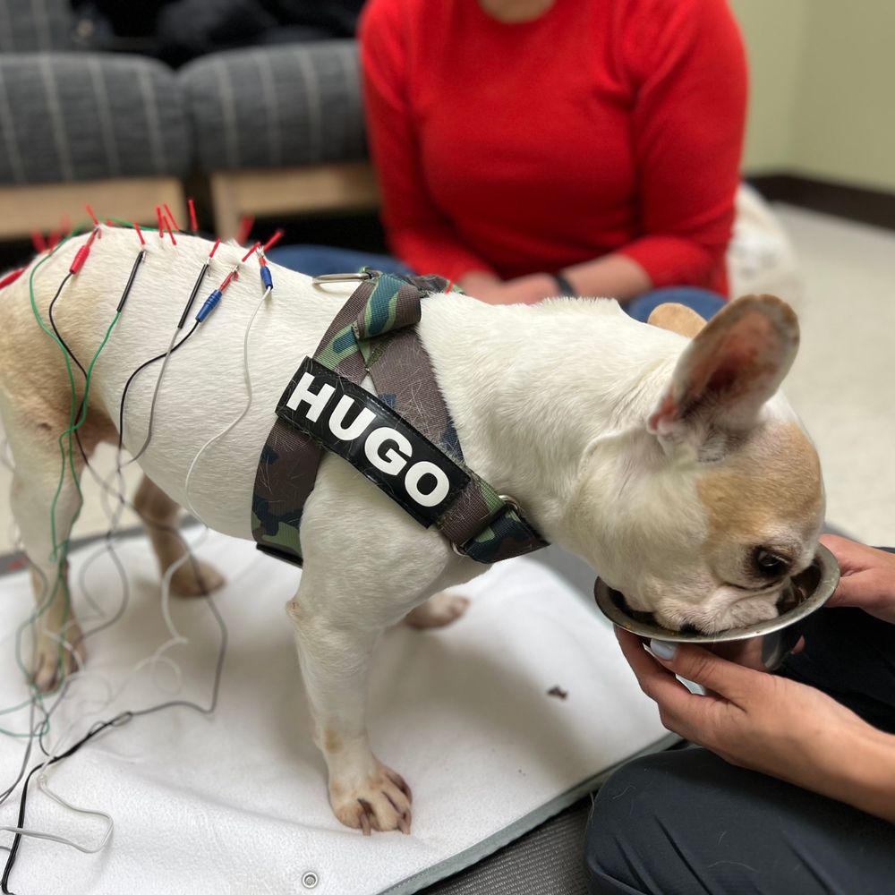 WHOLE PET VETERINARY HOSPITAL SOUTH CHARLOTTE Updated October 2024