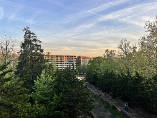 Meridian Hill Park by null