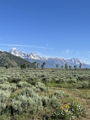 Gros Ventre Campground by null