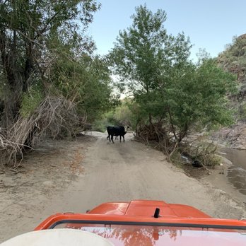 BC Jeep tours - Sunset and local wildlife - Tours Near Me - Wickenburg, Arizona BC Jeep tours - Sunset and local wildlife - Tours Near Me - Wickenburg, Arizona
