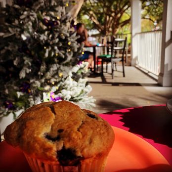 The Wild Iris Café - Blueberry muffin - Cafes Near Me - Dunedin, Florida The Wild Iris Café - Blueberry muffin - Cafes Near Me - Dunedin, Florida