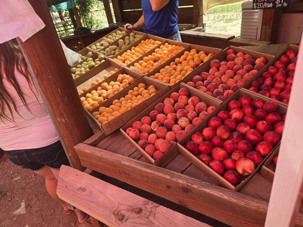 Julia's Fruit Stand Logo