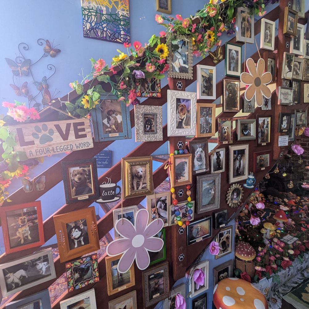 Karma Cafe - Coffee & Tea Near Me - San Francisco, California Karma Cafe - Coffee & Tea Near Me - San Francisco, California