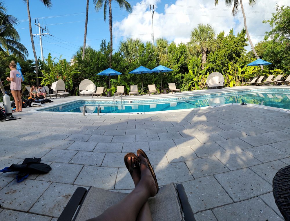 ISLAMORADA DIVE CENTER 70 Photos & 72 Reviews 84001 Overseas Hwy