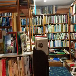 Daisy Lane Books