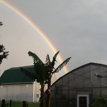 Northern Tropics - Nurseries & Gardening Near Me - Muncie, Indiana Northern Tropics - Nurseries & Gardening Near Me - Muncie, Indiana