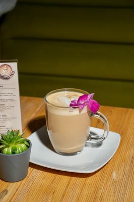 Swami's Cafe Del Sur by null