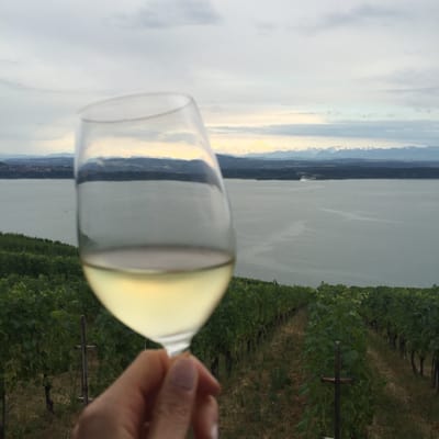 Aux Trois Amis by null