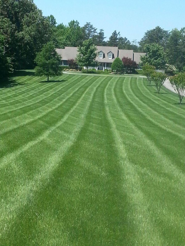 Nature's Select® - tree service in Greensboro, NC