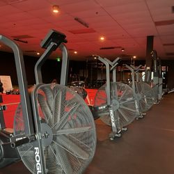 Lobos Gym