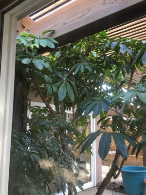 BRIGHT N SHINY WINDOW CLEANING & PRESSURE WASHING - Updated October