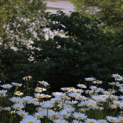 Kravitz's Garden Cafe & Inspired Catering
