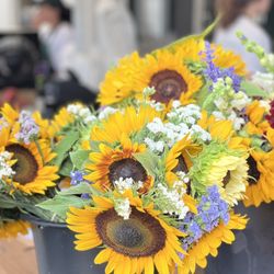 Briermere Farms - Fresh cut flowers