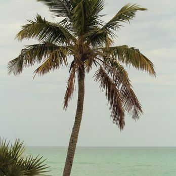 Bahia Honda State Park - Parks Near Me - Big Pine Key, Florida
