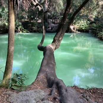 Green Springs Park - Love this place! - Hiking Near Me - Deltona, Florida