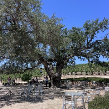 Cass Winery - Wineries Near Me - Paso Robles, California