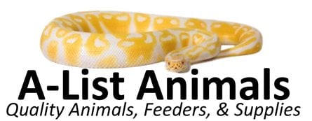 A-List Animals - reptile breeding in Cincinnati, OH