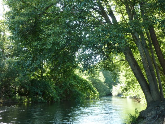 Truett Hurst Winery by null