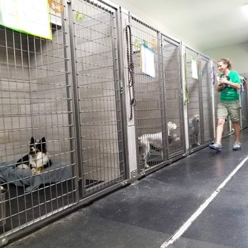 Sunset Kennels Garden Retreat - Dog accommodations - Pet Groomers Near Me - Lodi, California Sunset Kennels Garden Retreat - Dog accommodations - Pet Groomers Near Me - Lodi, California