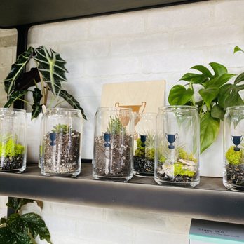 Trophy Coffee - Cute glasses with succulents inside ! - Coffee & Tea Near Me - Santa Clarita, California Trophy Coffee - Cute glasses with succulents inside ! - Coffee & Tea Near Me - Santa Clarita, California