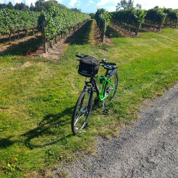 Zoom Leisure - Bike Rentals Near Me - Niagara On the Lake, Ontario Zoom Leisure - Bike Rentals Near Me - Niagara On the Lake, Ontario