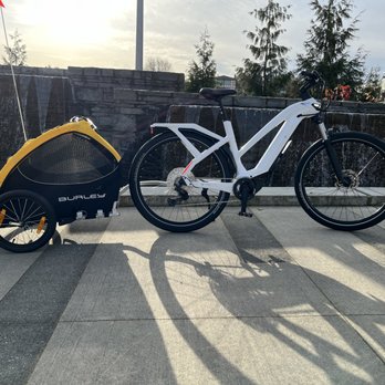 Seattle Electric Bike - Eastside! - Bianchi E-Omnia TType and Burley Tail-Wagon pet trailer - Bikes Near Me - Bothell, Washington