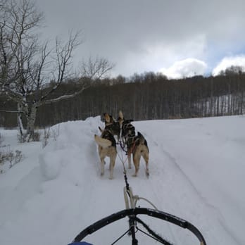 Mountain Musher - Wally was my guide.  He and the dogs were phenomenal! - Tours Near Me - Bond, Colorado