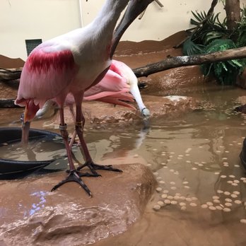 ZooAmerica - Zoos Near Me - Hershey, Pennsylvania