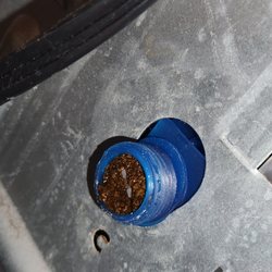DZ Appliance Repair - Debris in washer cold water inlet valve