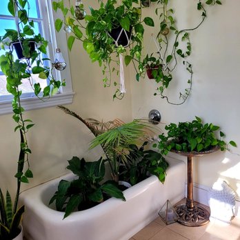 Island Wellness - Cryotherapy Near Me - Middletown, Rhode Island