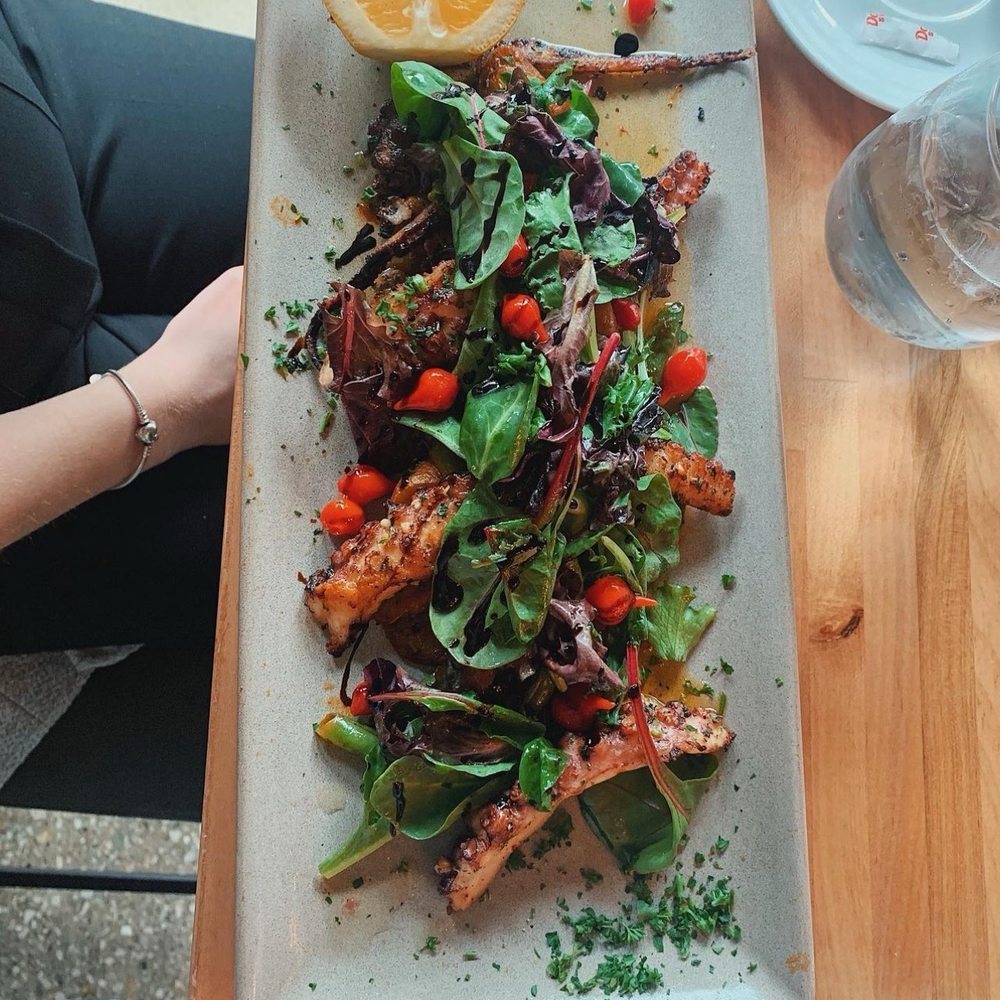 Lady Gregory's - Octopus salad - New American Near Me - Chicago, Illinois Lady Gregory's - Octopus salad - New American Near Me - Chicago, Illinois